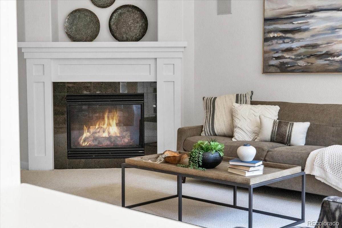 MLS Image #15 for 10683  amesbury way,highlands ranch, Colorado