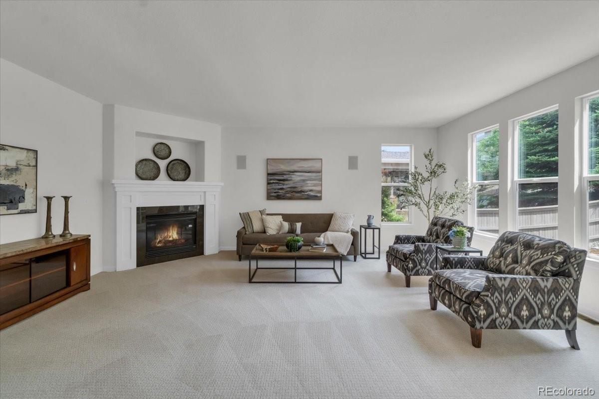 MLS Image #16 for 10683  amesbury way,highlands ranch, Colorado