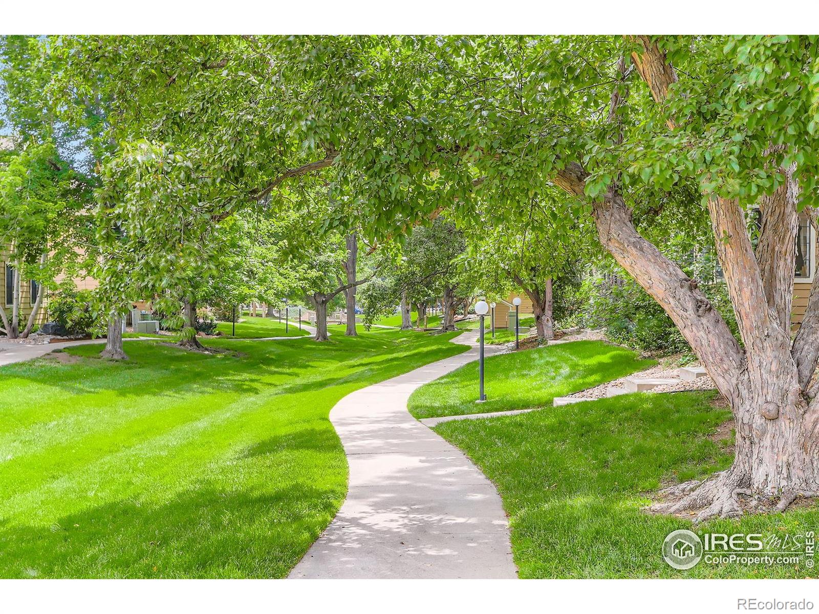MLS Image #28 for 5918  gunbarrel avenue,boulder, Colorado