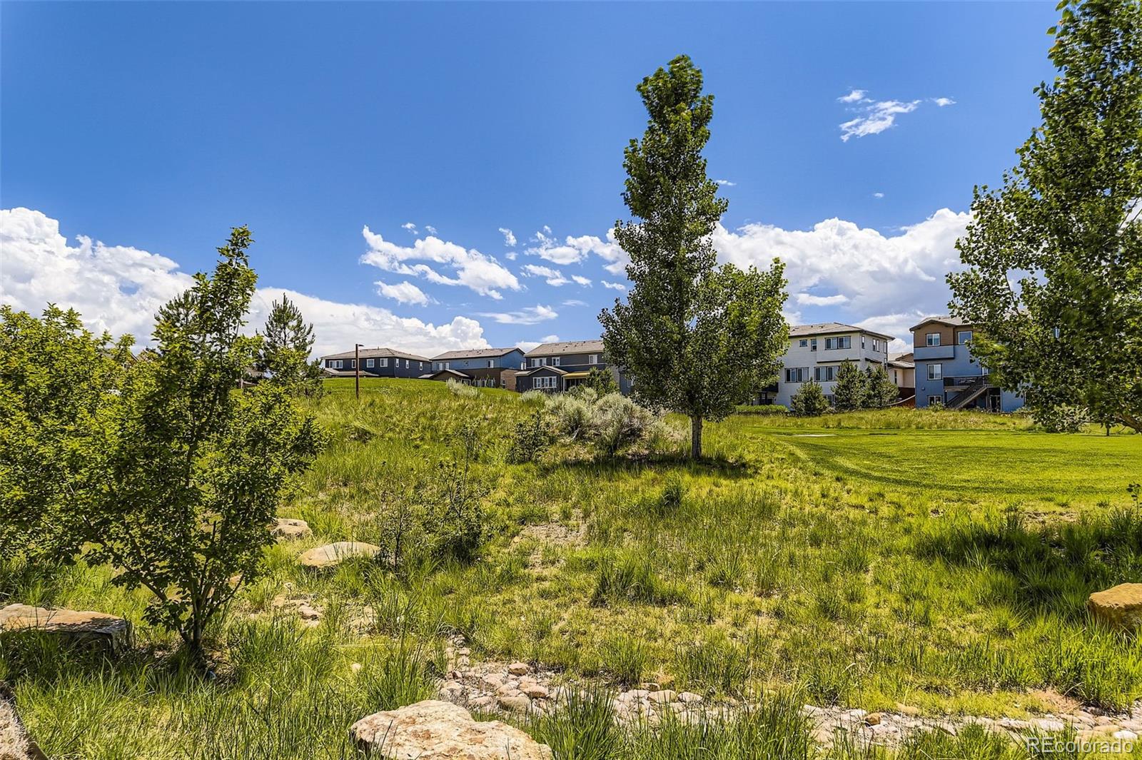 MLS Image #32 for 14074  yellow tip drive,parker, Colorado