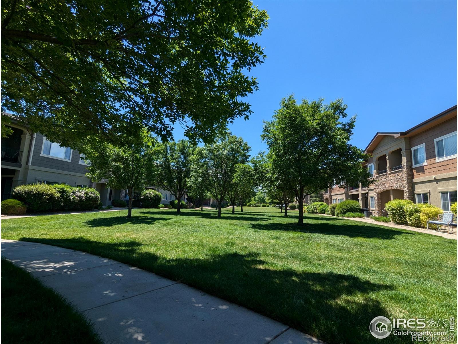 MLS Image #18 for 1122  olympia avenue,longmont, Colorado