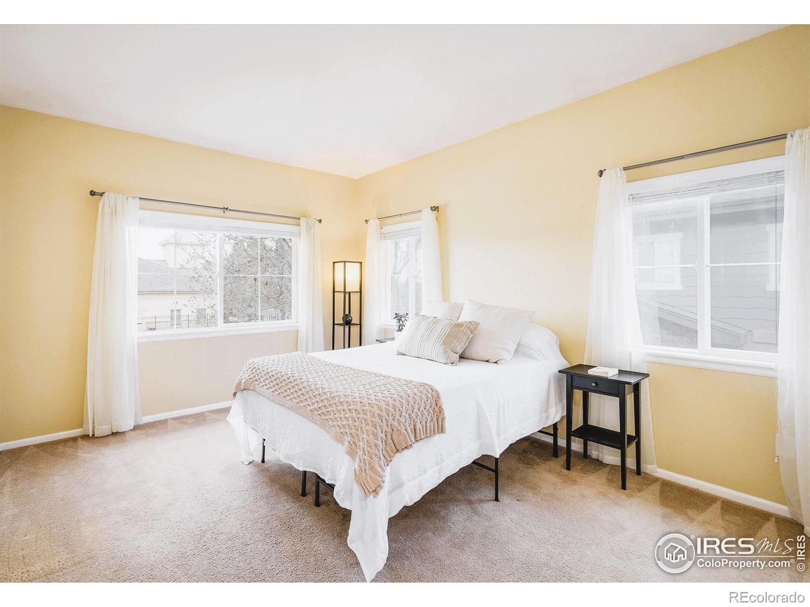 MLS Image #8 for 1122  olympia avenue,longmont, Colorado