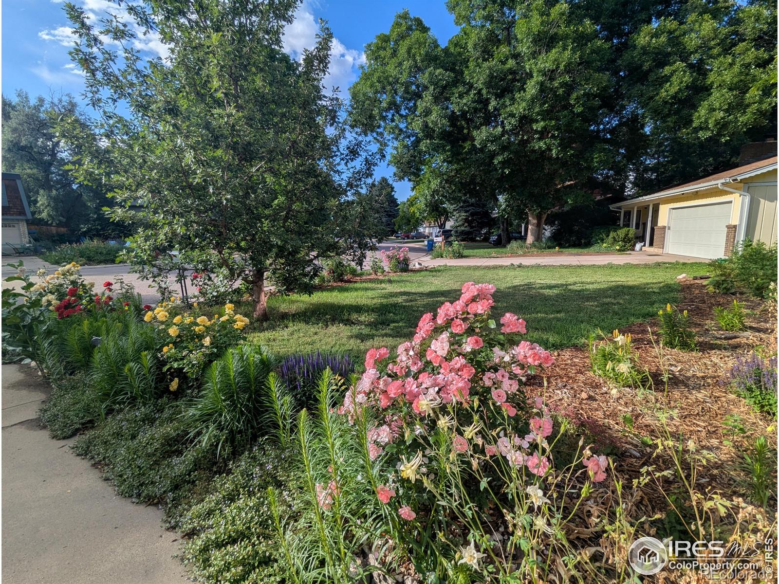 MLS Image #37 for 2828  redwing road,fort collins, Colorado