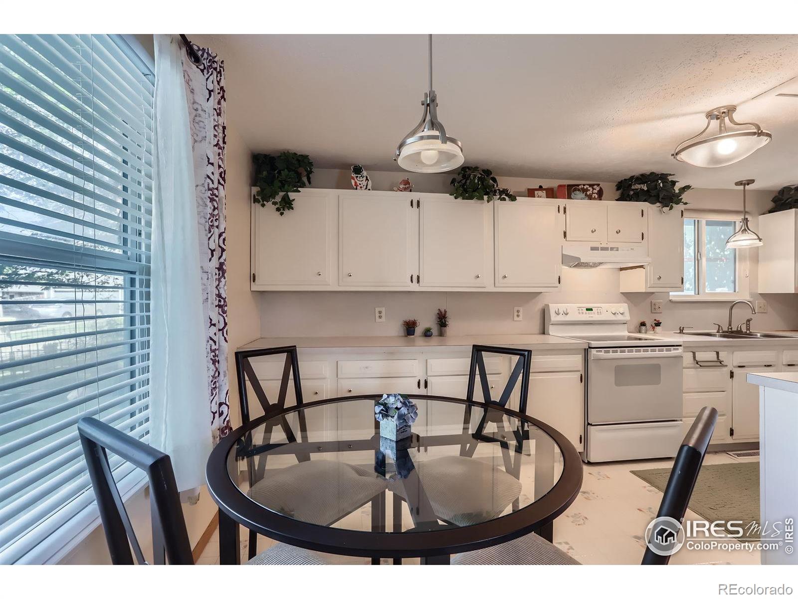MLS Image #14 for 1240  snowbank court,longmont, Colorado