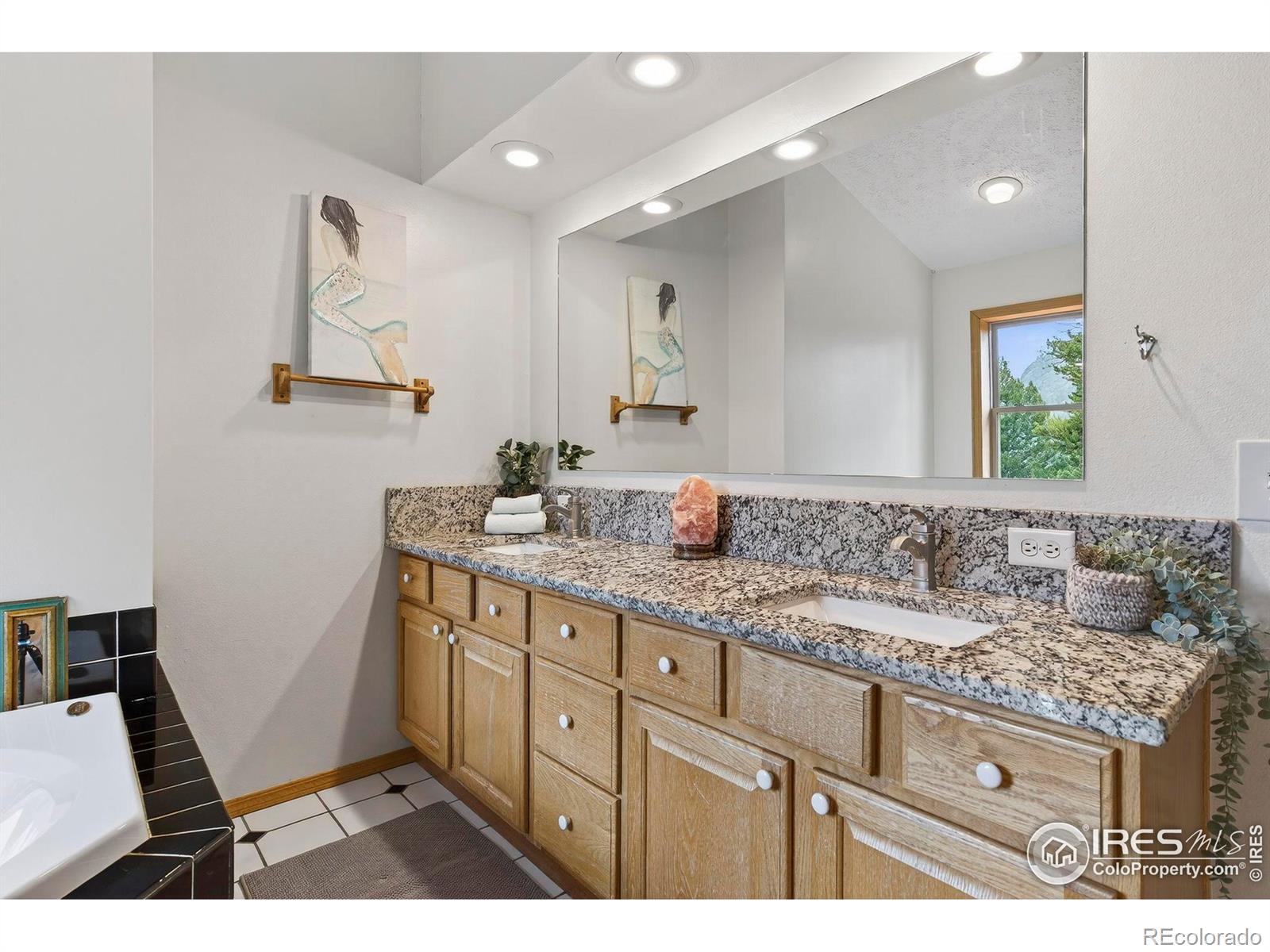 MLS Image #20 for 100  moon gulch road,rollinsville, Colorado