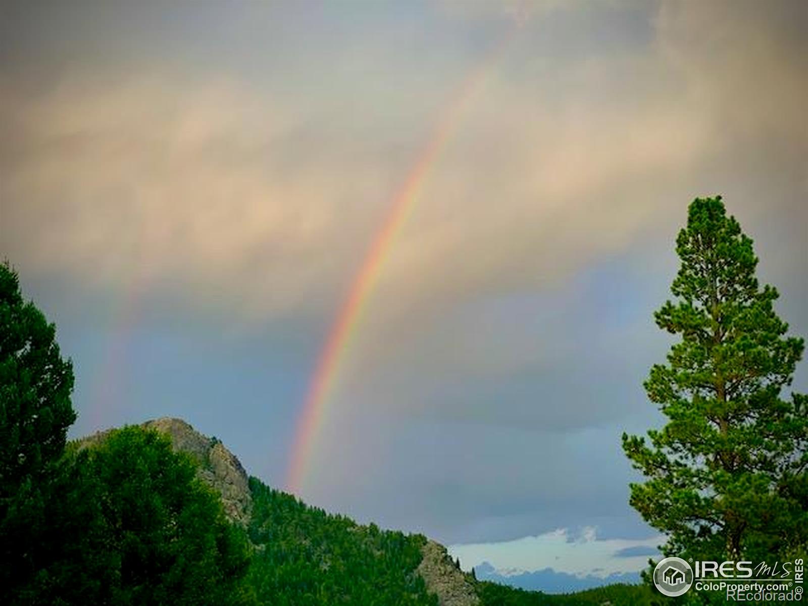 MLS Image #36 for 100  moon gulch road,rollinsville, Colorado