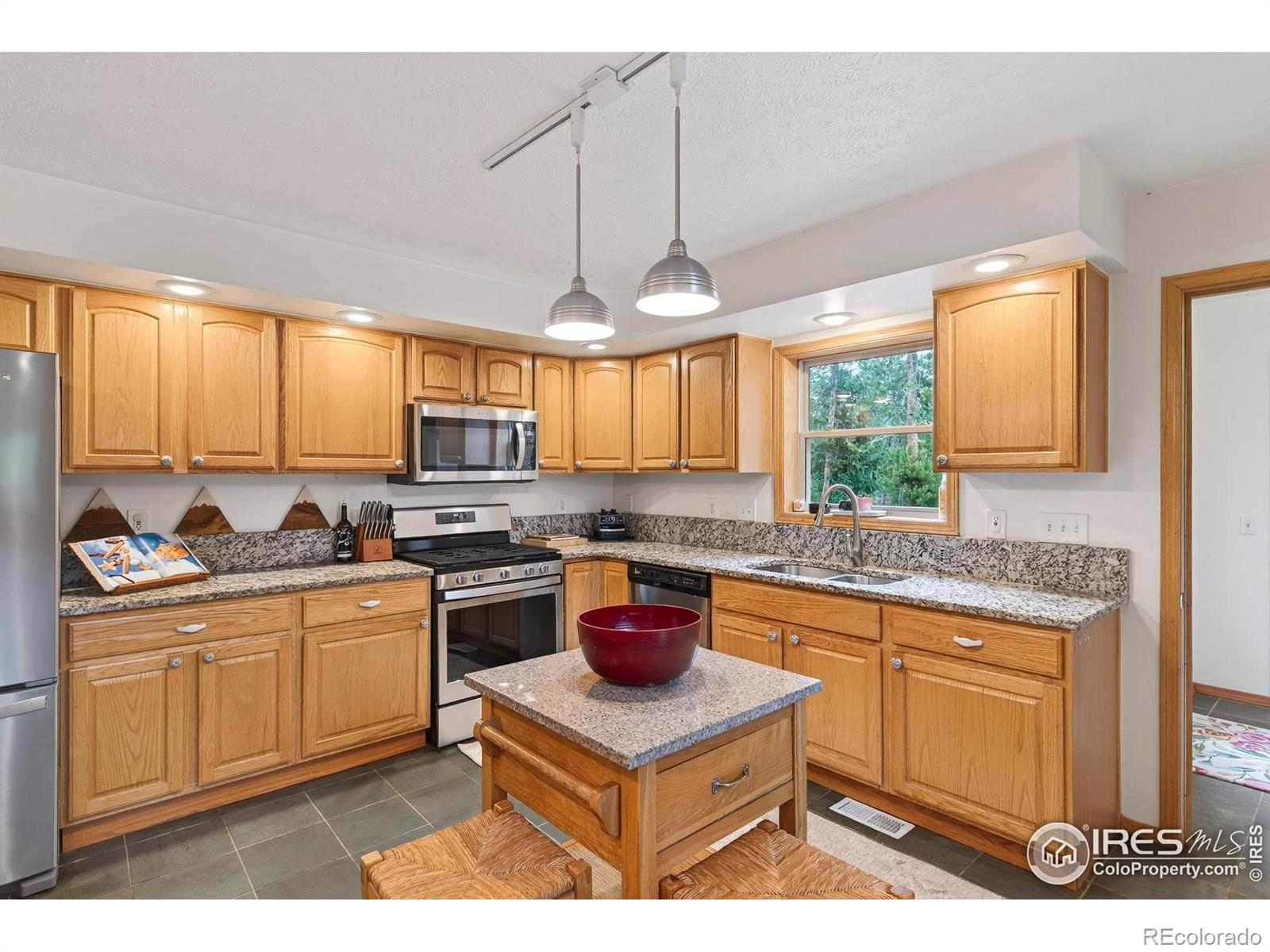 MLS Image #4 for 100  moon gulch road,rollinsville, Colorado