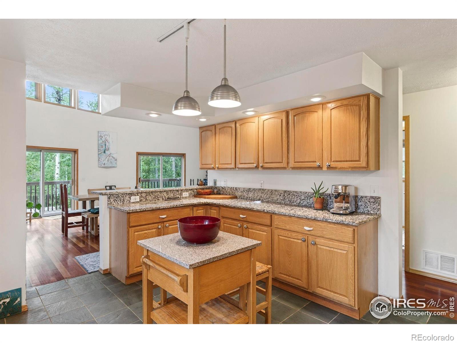 MLS Image #6 for 100  moon gulch road,rollinsville, Colorado