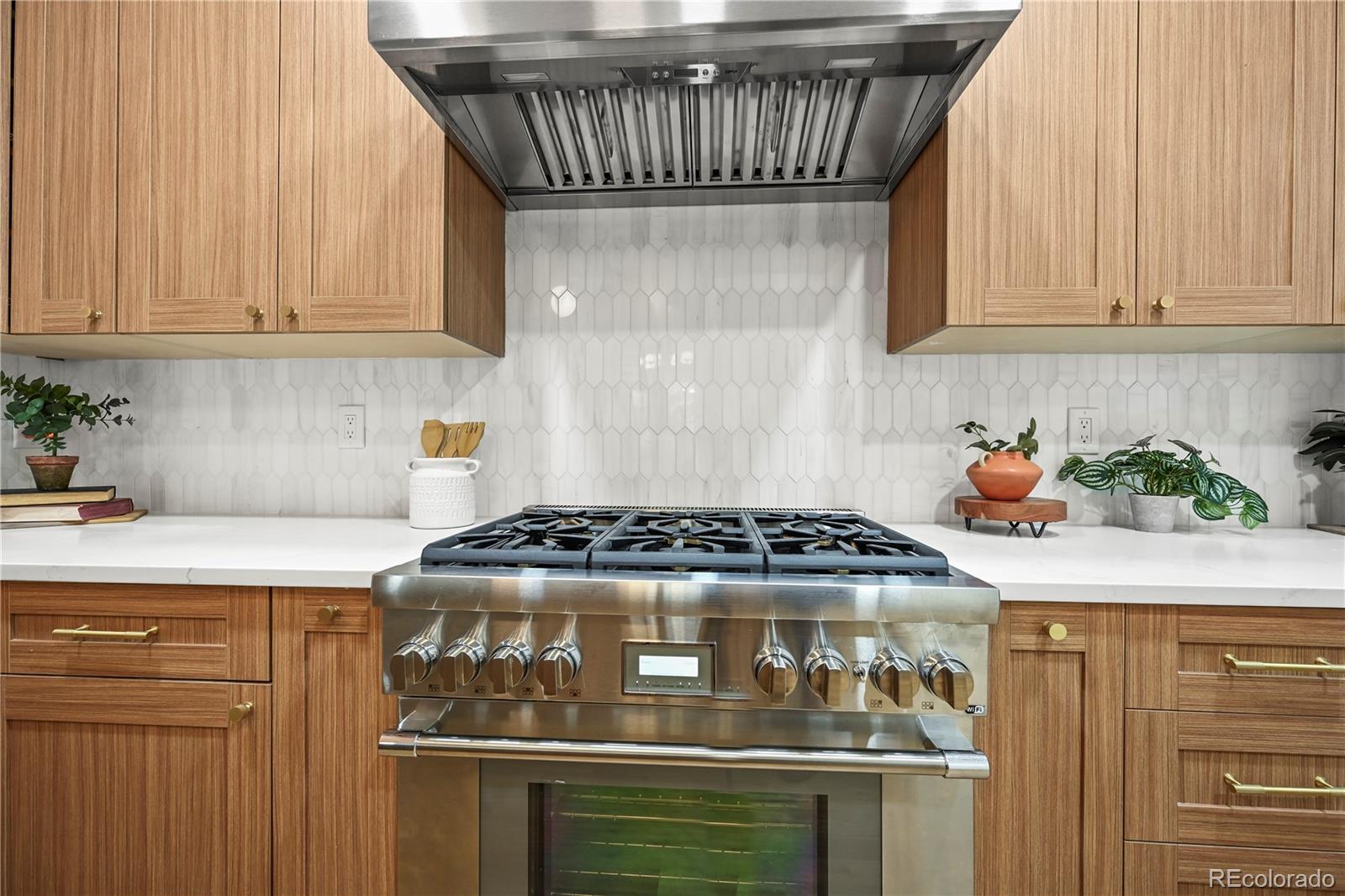 MLS Image #14 for 734 n downing street,denver, Colorado