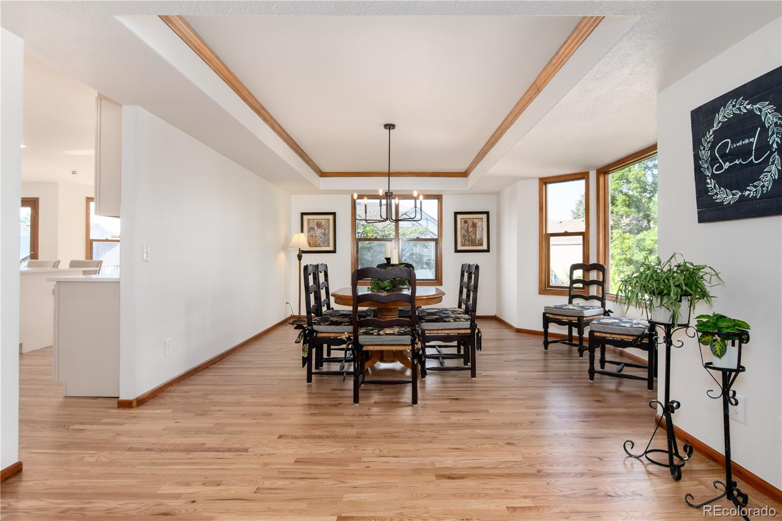MLS Image #47 for 9983  cottoncreek drive,highlands ranch, Colorado