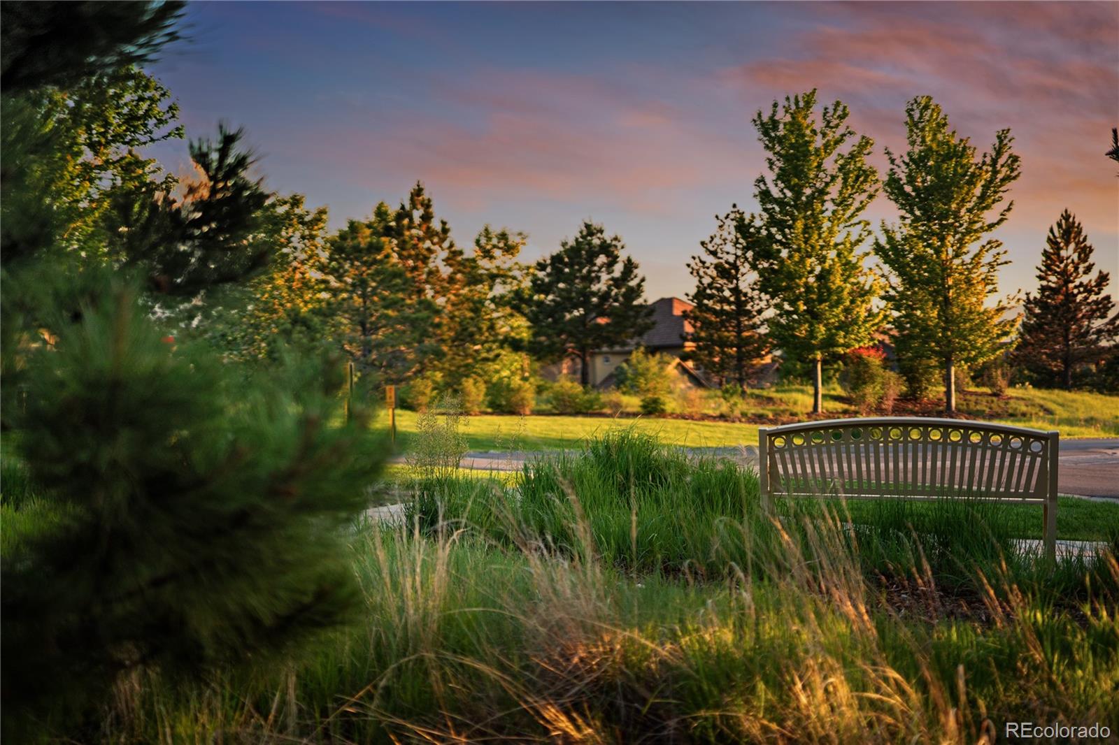 MLS Image #24 for 150  maplehurst drive,highlands ranch, Colorado