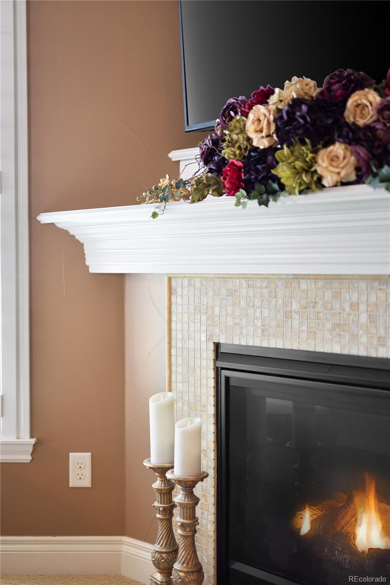 MLS Image #29 for 150  maplehurst drive,highlands ranch, Colorado