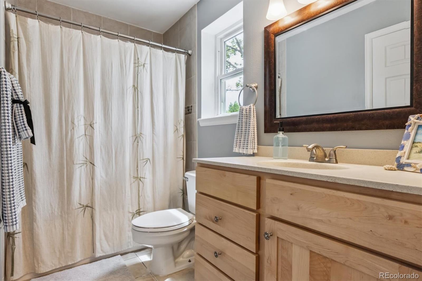 MLS Image #10 for 693  delwood court,highlands ranch, Colorado