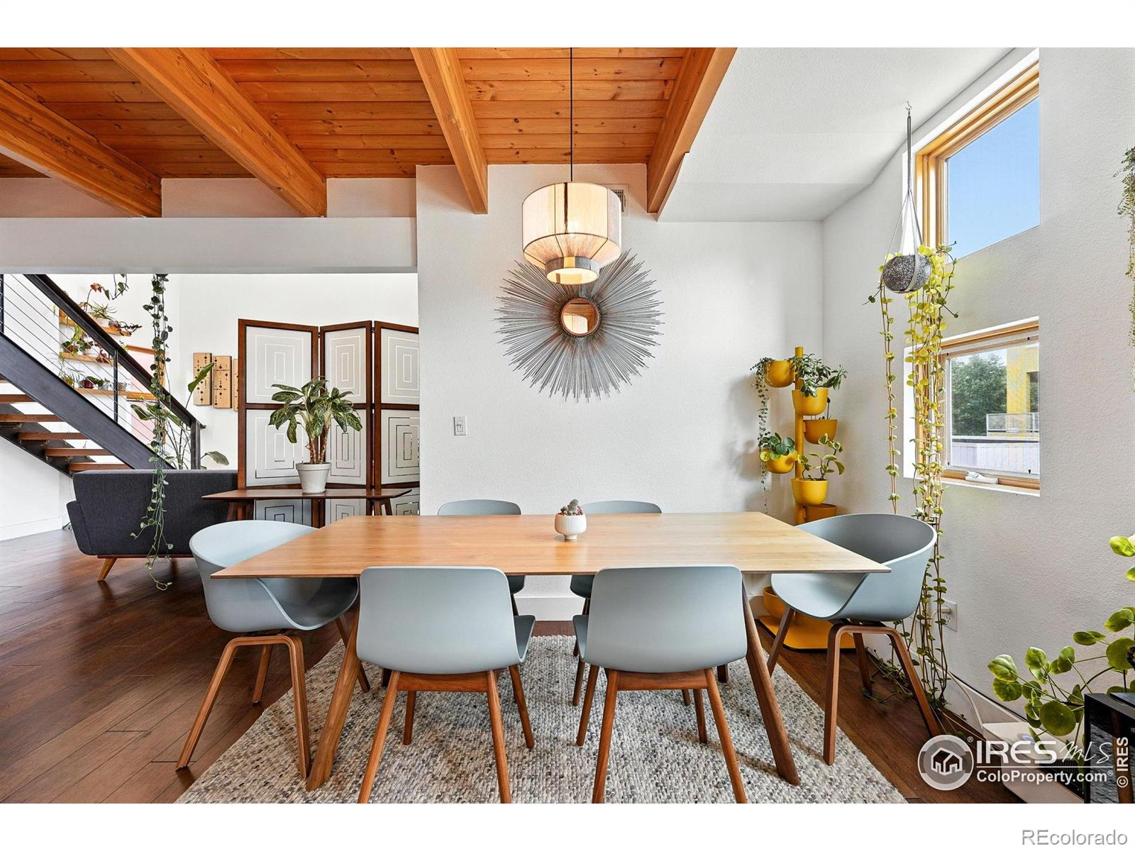 MLS Image #1 for 801  confidence drive,longmont, Colorado