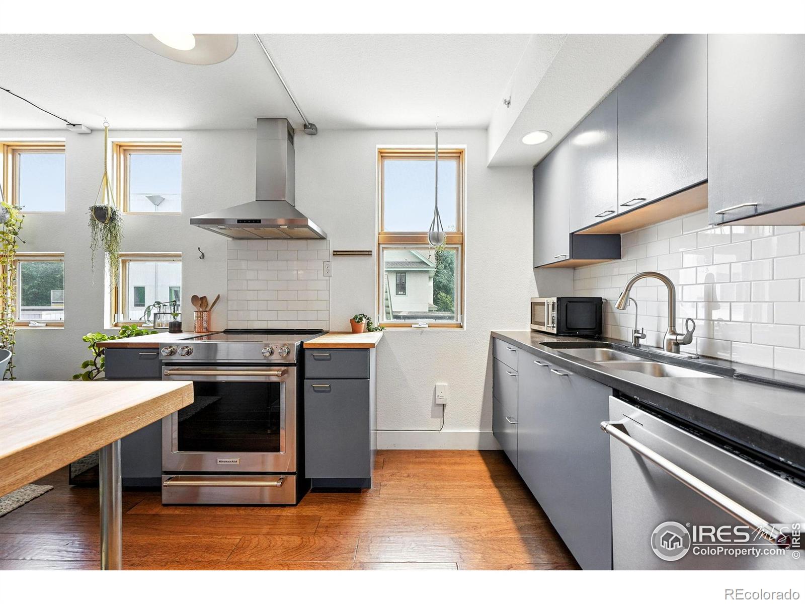 MLS Image #10 for 801  confidence drive,longmont, Colorado