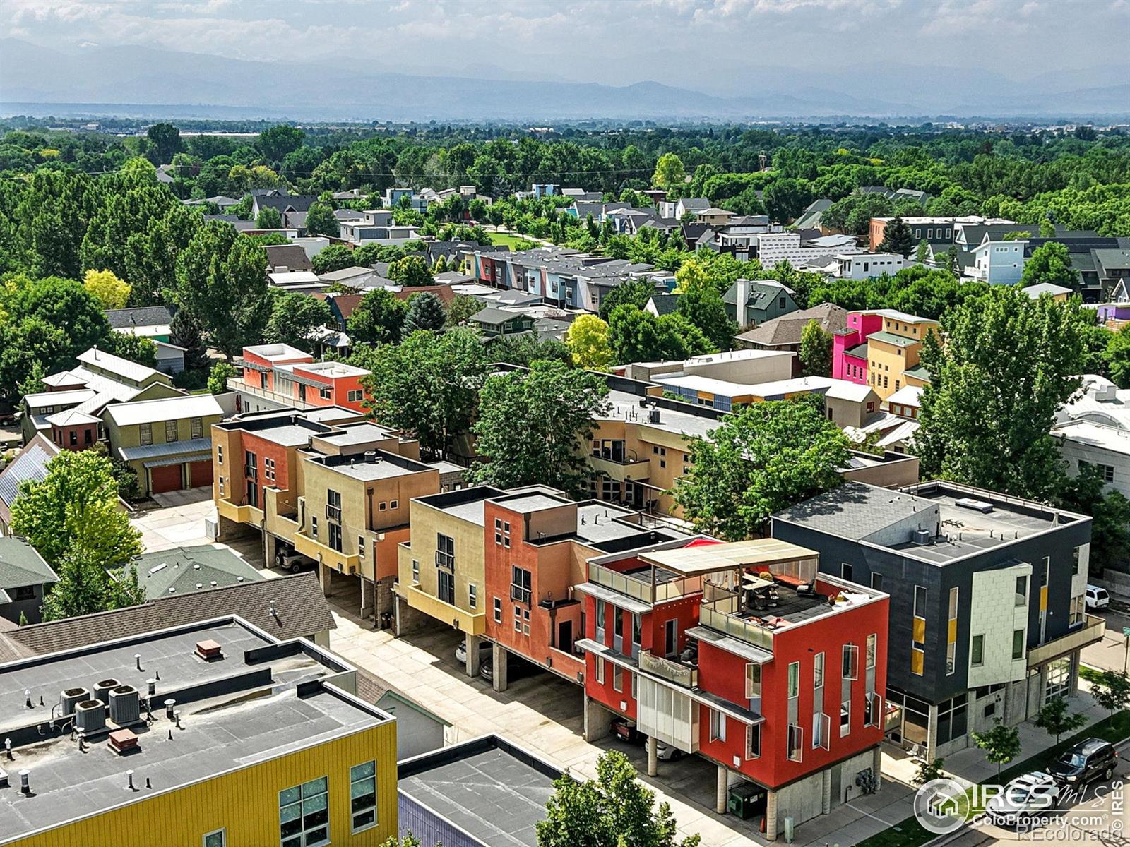 MLS Image #31 for 801  confidence drive,longmont, Colorado
