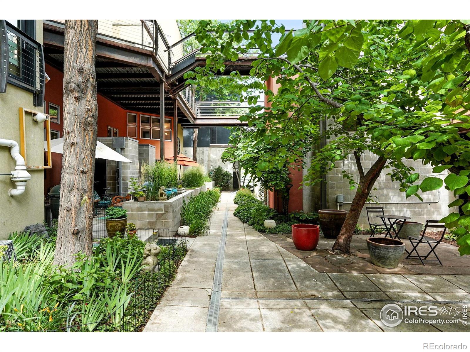 MLS Image #5 for 801  confidence drive,longmont, Colorado