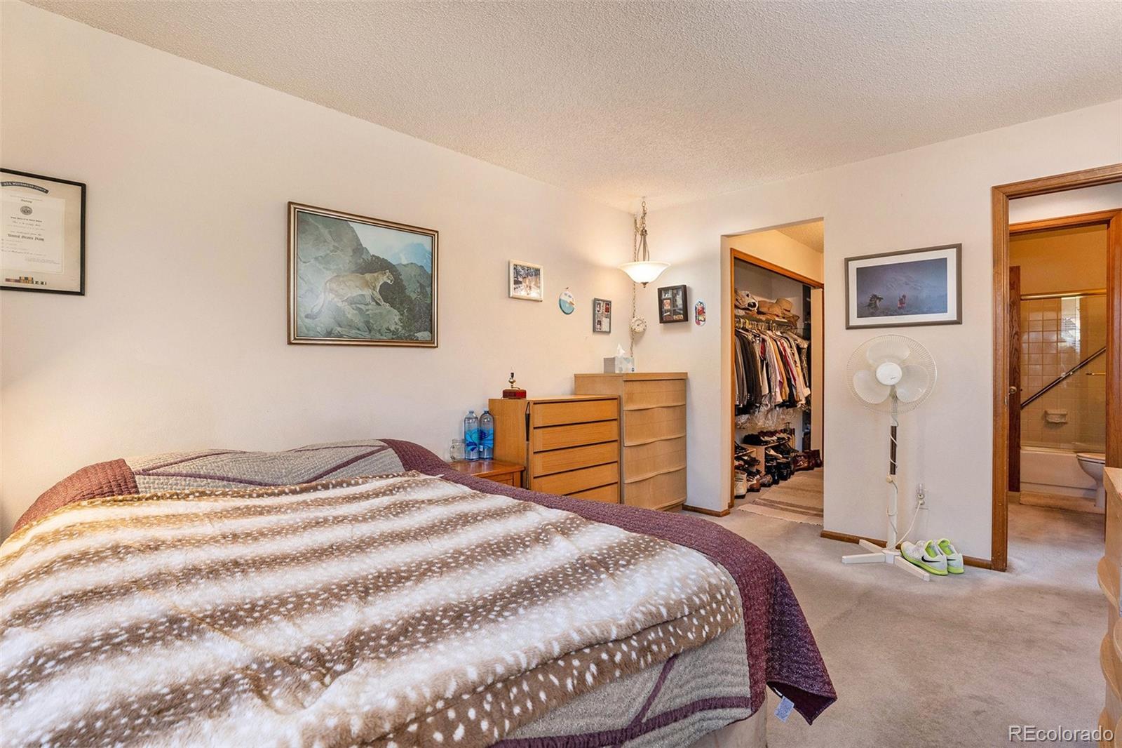 MLS Image #14 for 9365 w 80th place,arvada, Colorado