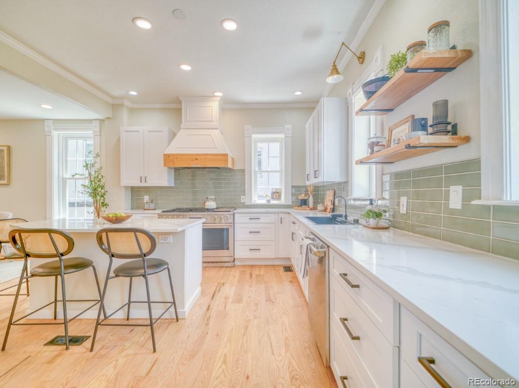 MLS Image #20 for 541  fox street,denver, Colorado