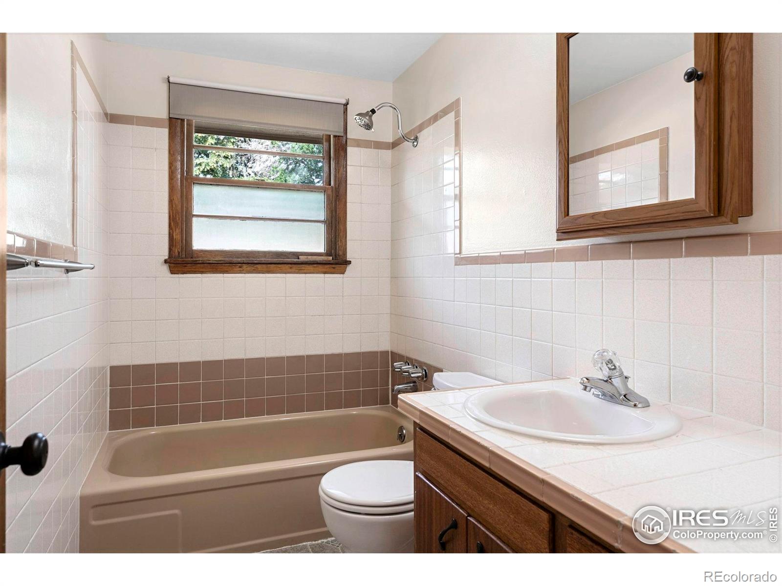 MLS Image #10 for 1247  linden street,longmont, Colorado