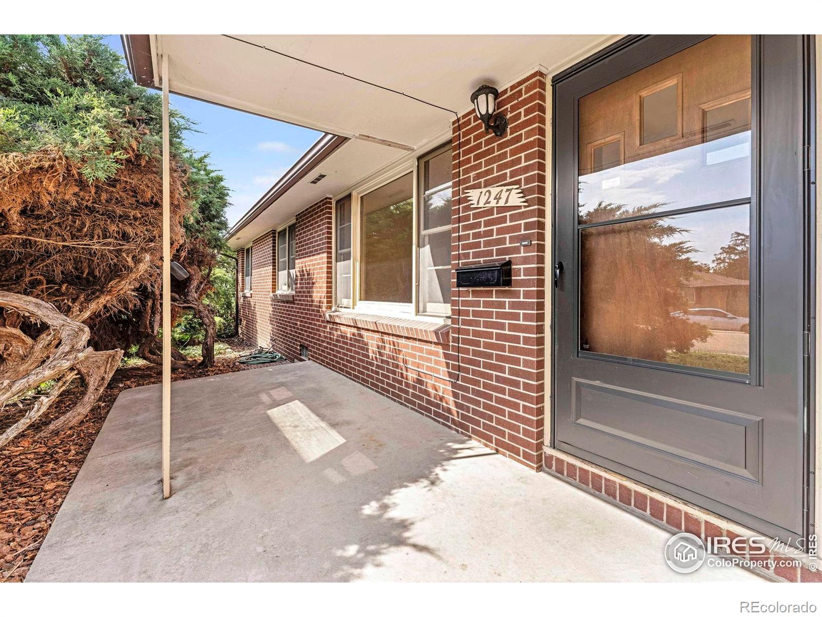 MLS Image #17 for 1247  linden street,longmont, Colorado