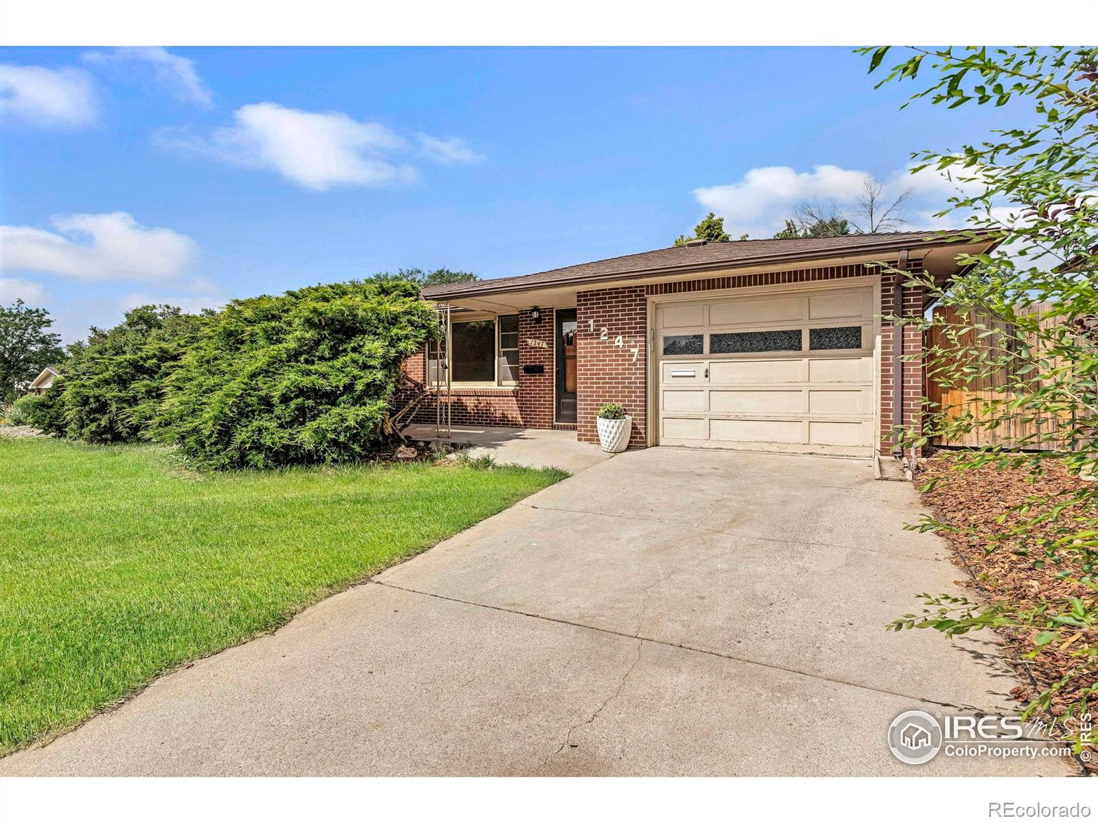MLS Image #18 for 1247  linden street,longmont, Colorado