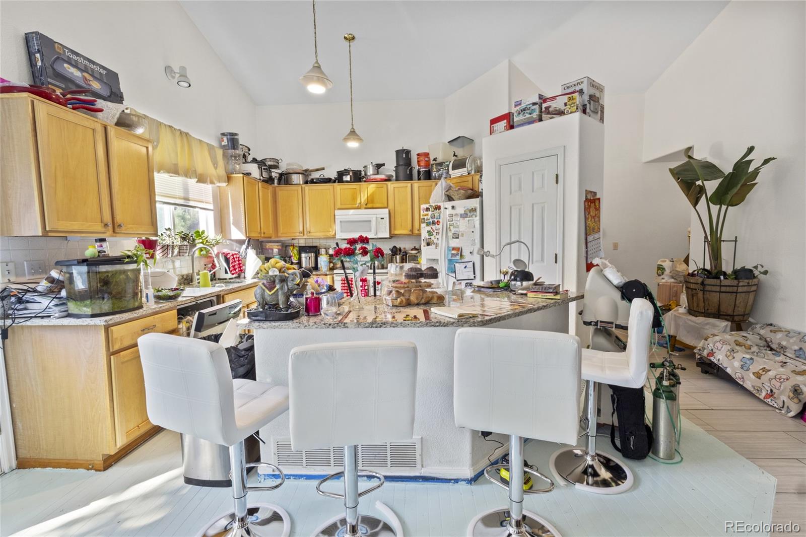 MLS Image #10 for 607  branding iron lane,castle rock, Colorado