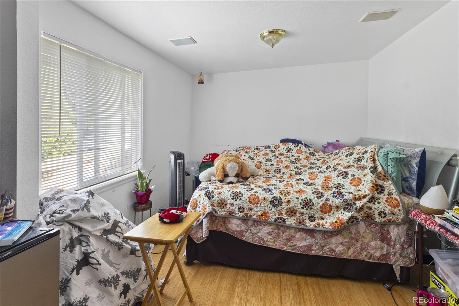 MLS Image #14 for 607  branding iron lane,castle rock, Colorado