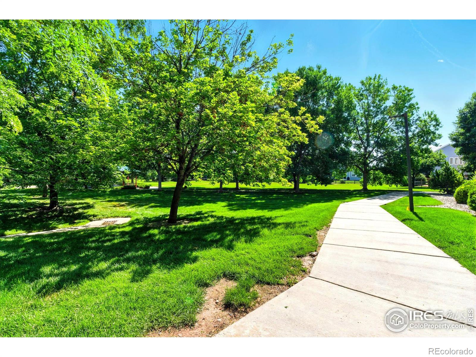 MLS Image #26 for 2450  windrow drive,fort collins, Colorado