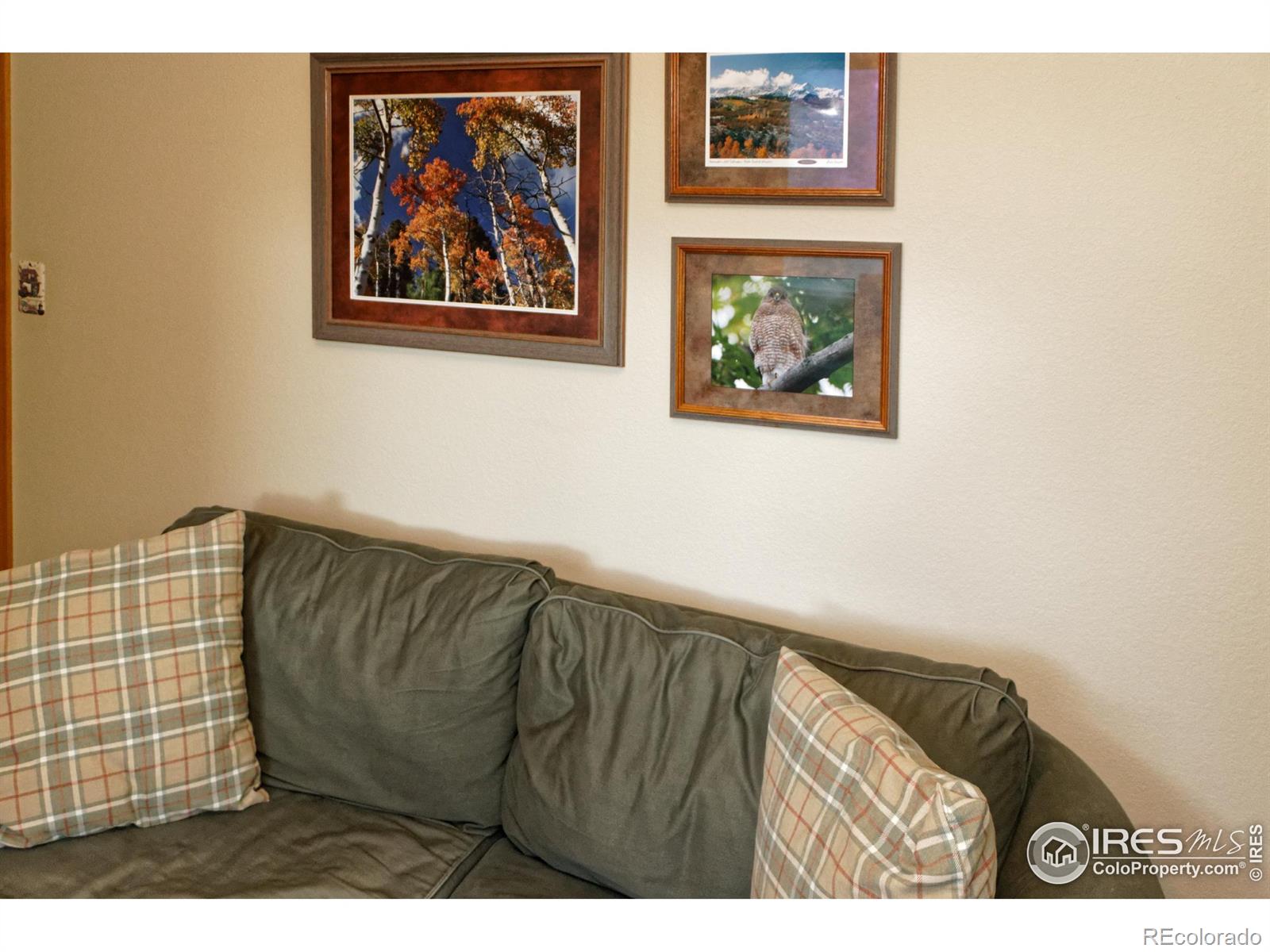 MLS Image #18 for 2465  mapleton circle,longmont, Colorado