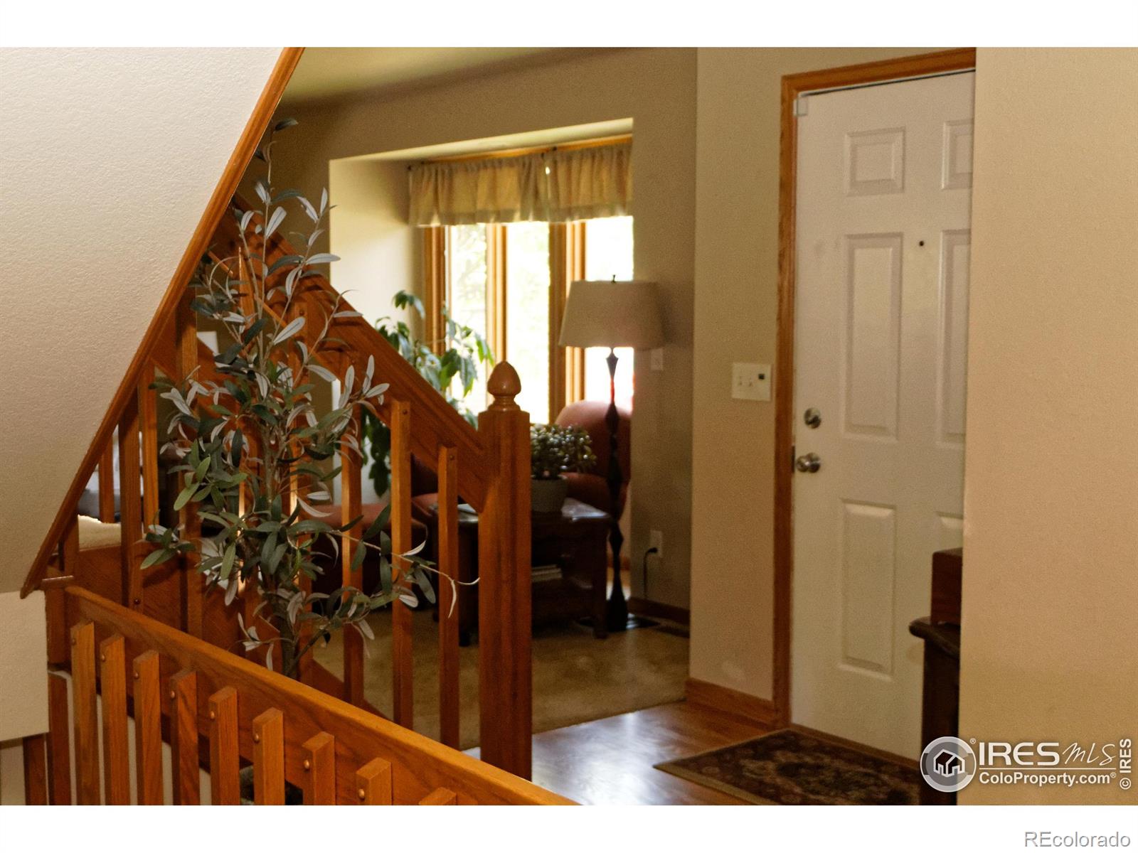 MLS Image #3 for 2465  mapleton circle,longmont, Colorado