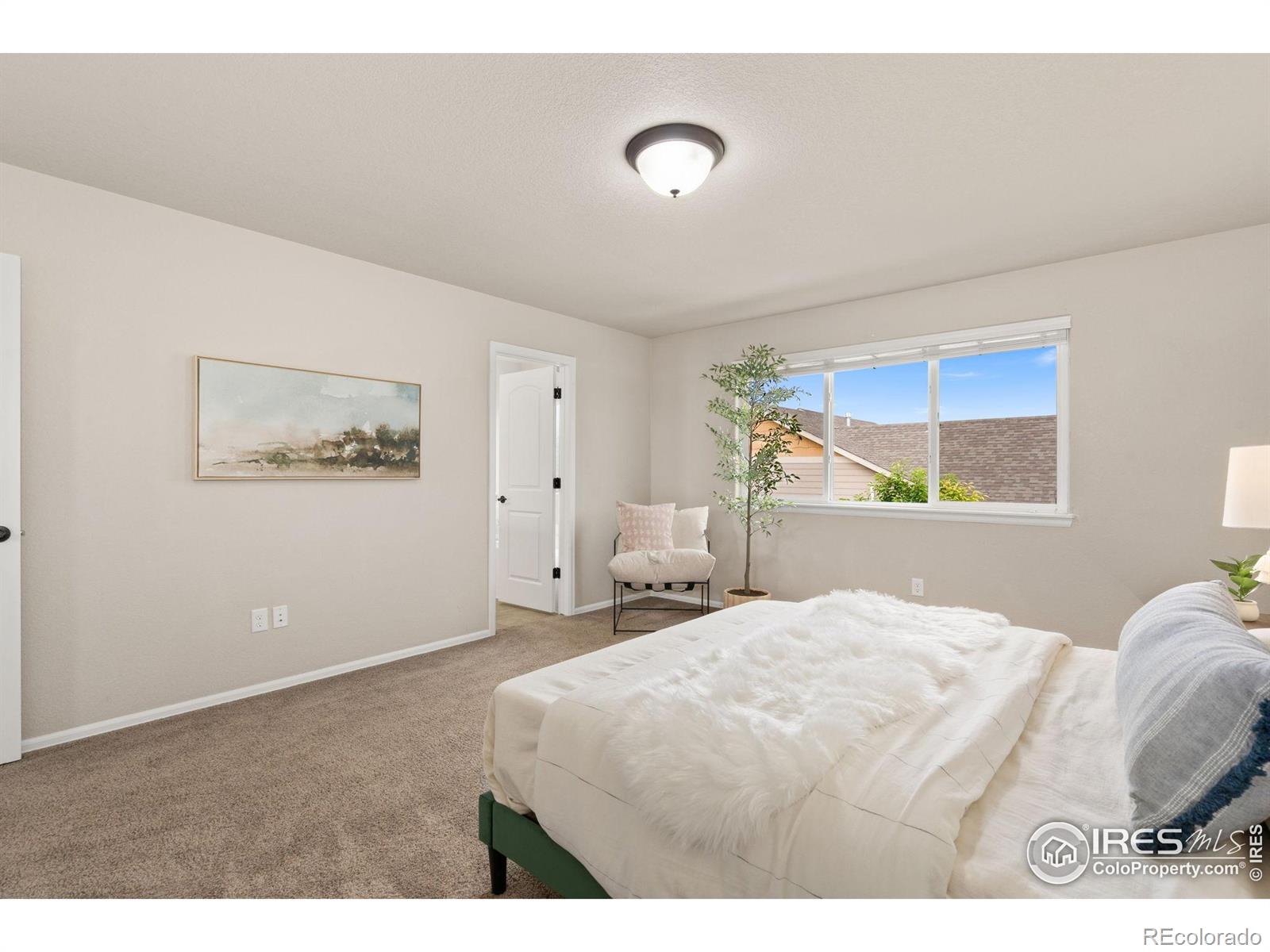 MLS Image #11 for 486  kendalbrook drive,windsor, Colorado