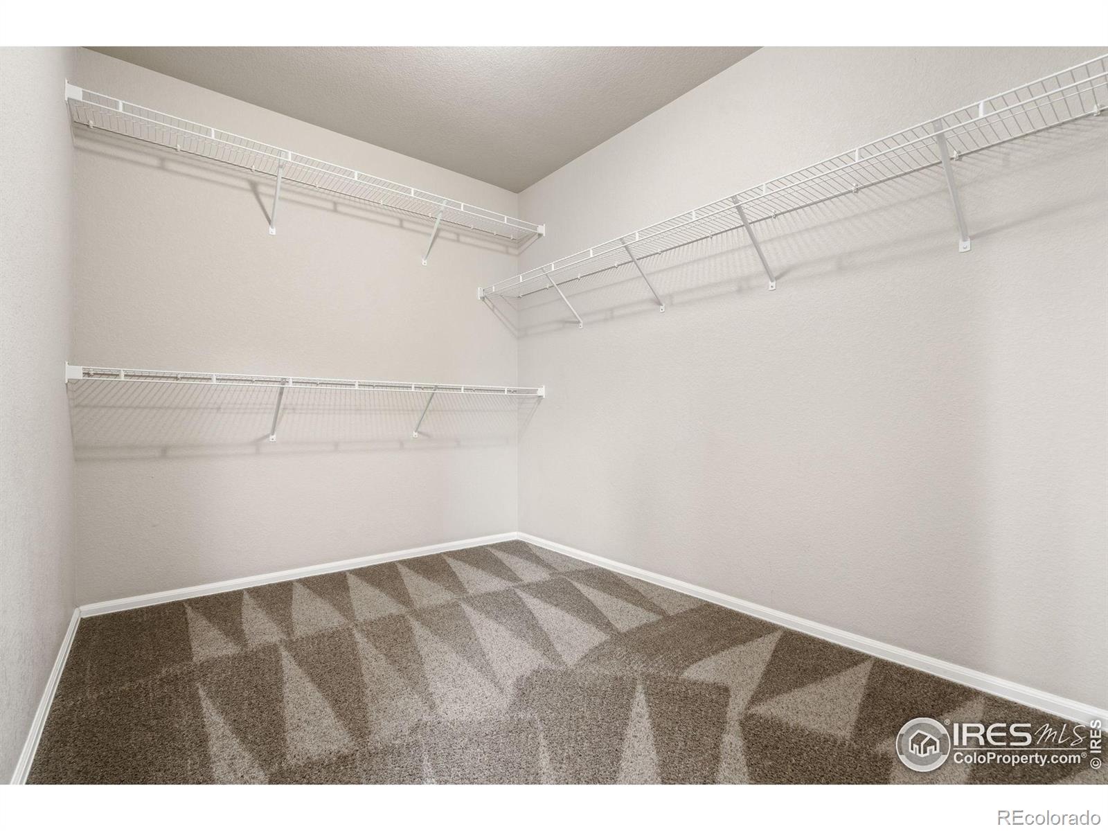 MLS Image #13 for 486  kendalbrook drive,windsor, Colorado