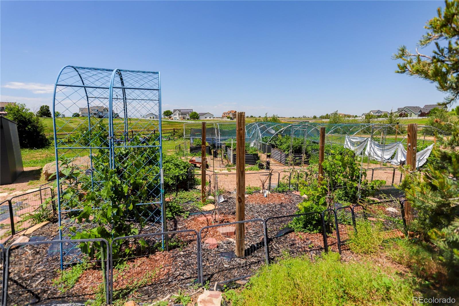 MLS Image #45 for 34827 e 7th avenue,watkins, Colorado