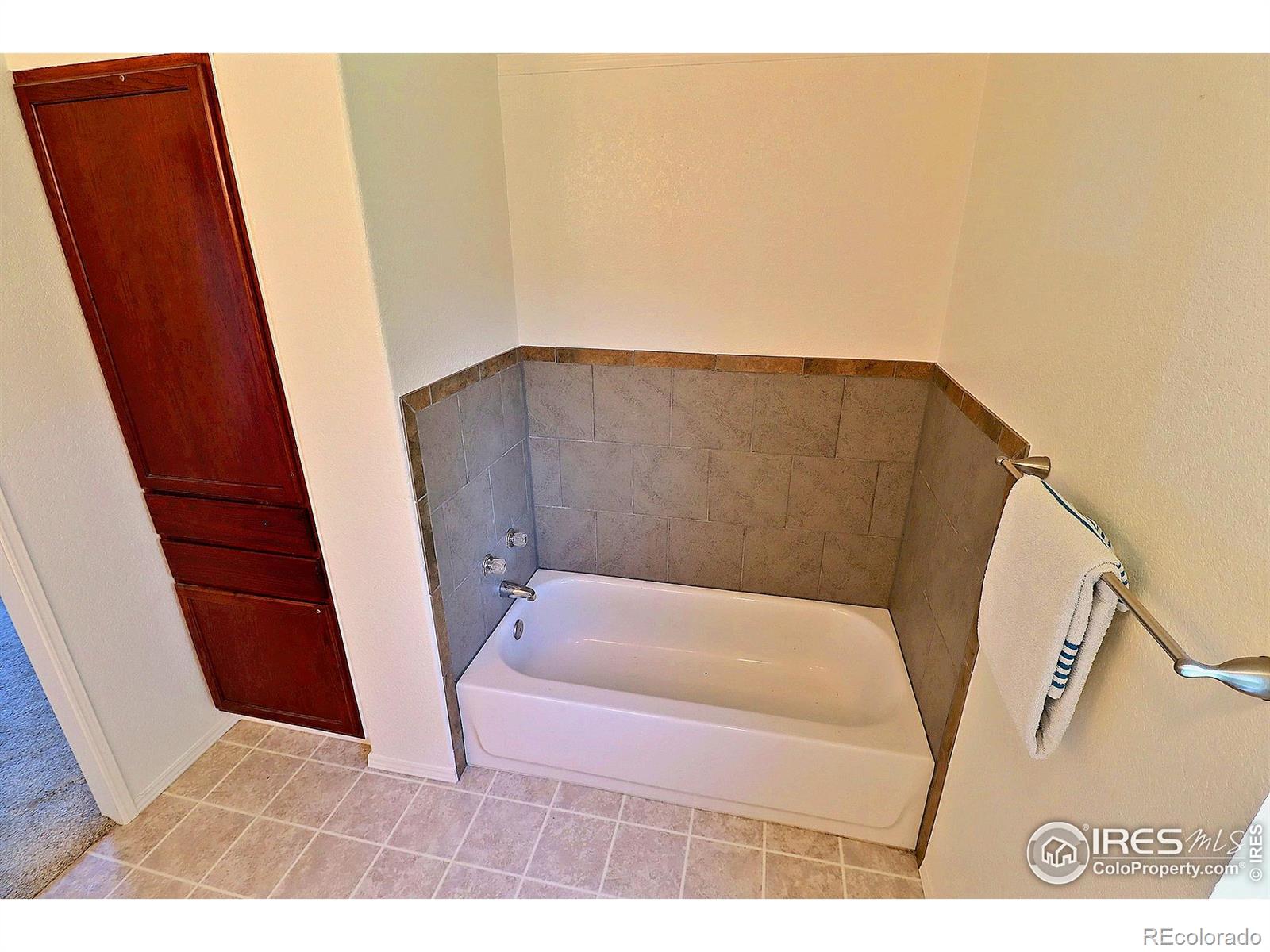 MLS Image #21 for 316 s 3rd avenue,ault, Colorado