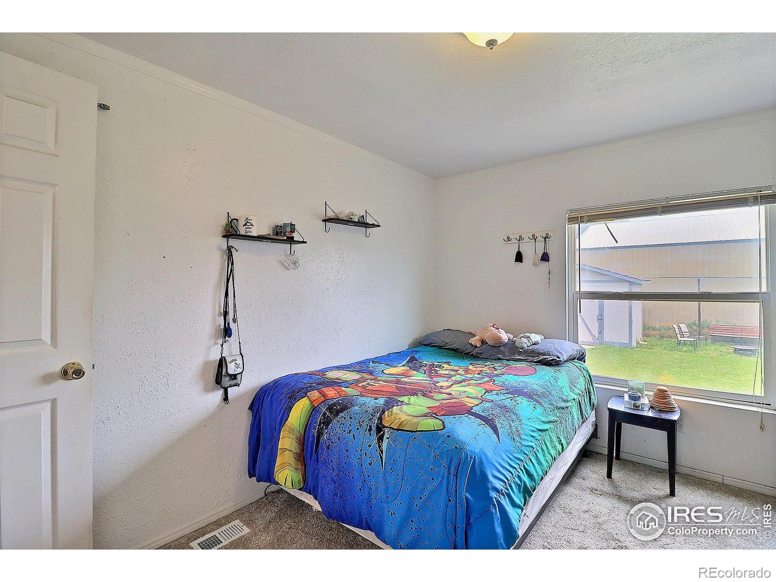 MLS Image #23 for 316 s 3rd avenue,ault, Colorado