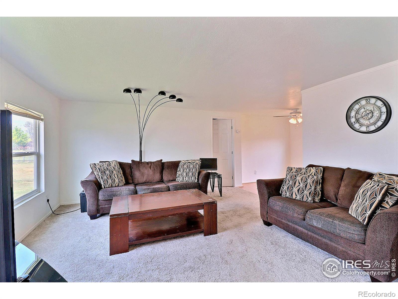 MLS Image #4 for 316 s 3rd avenue,ault, Colorado