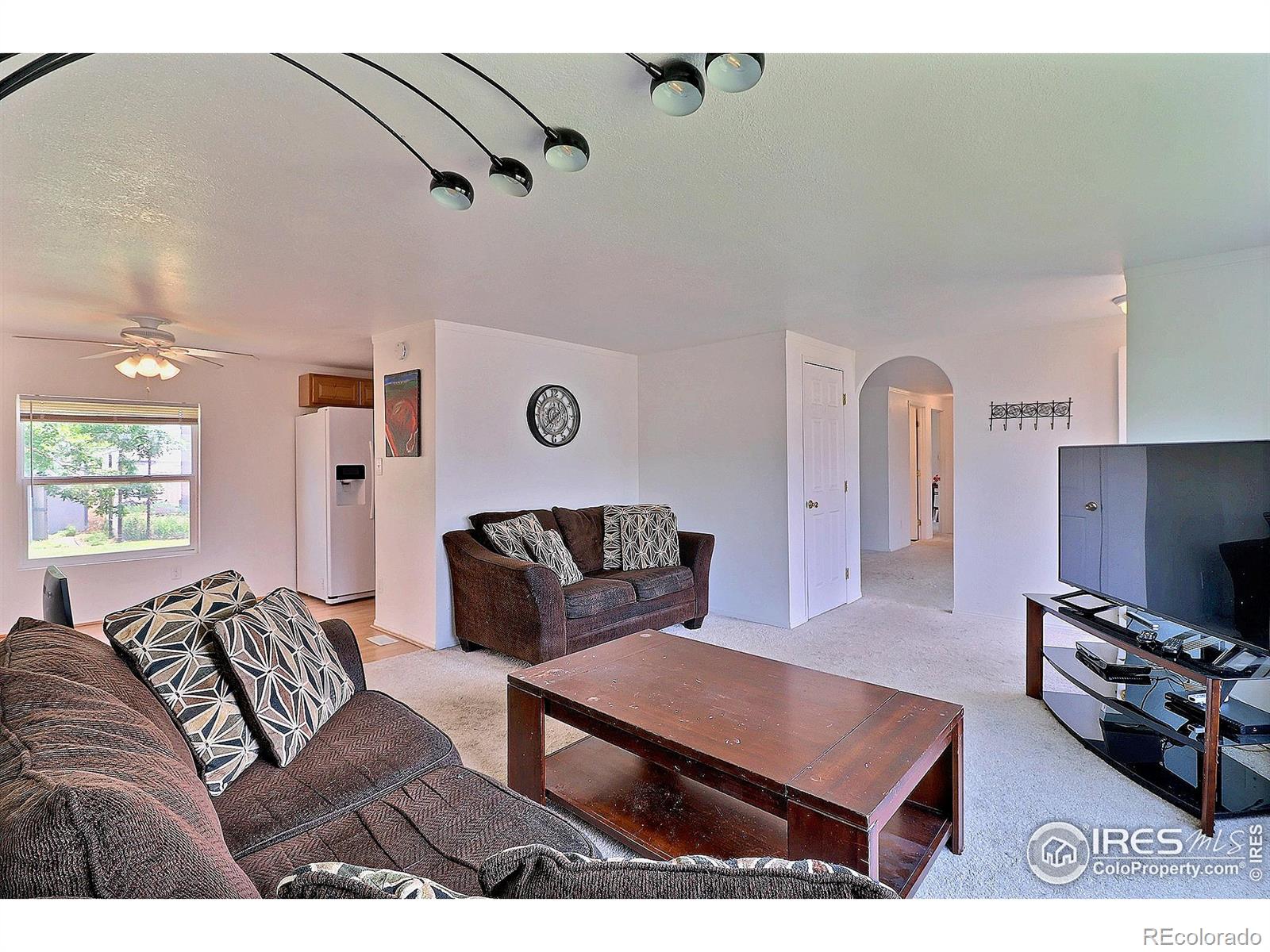 MLS Image #5 for 316 s 3rd avenue,ault, Colorado