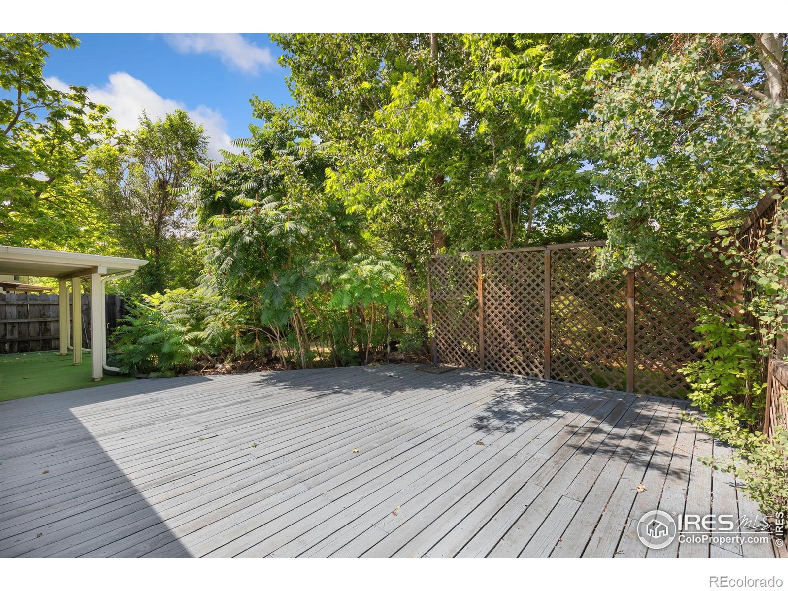 MLS Image #19 for 1323  horizon lane,longmont, Colorado