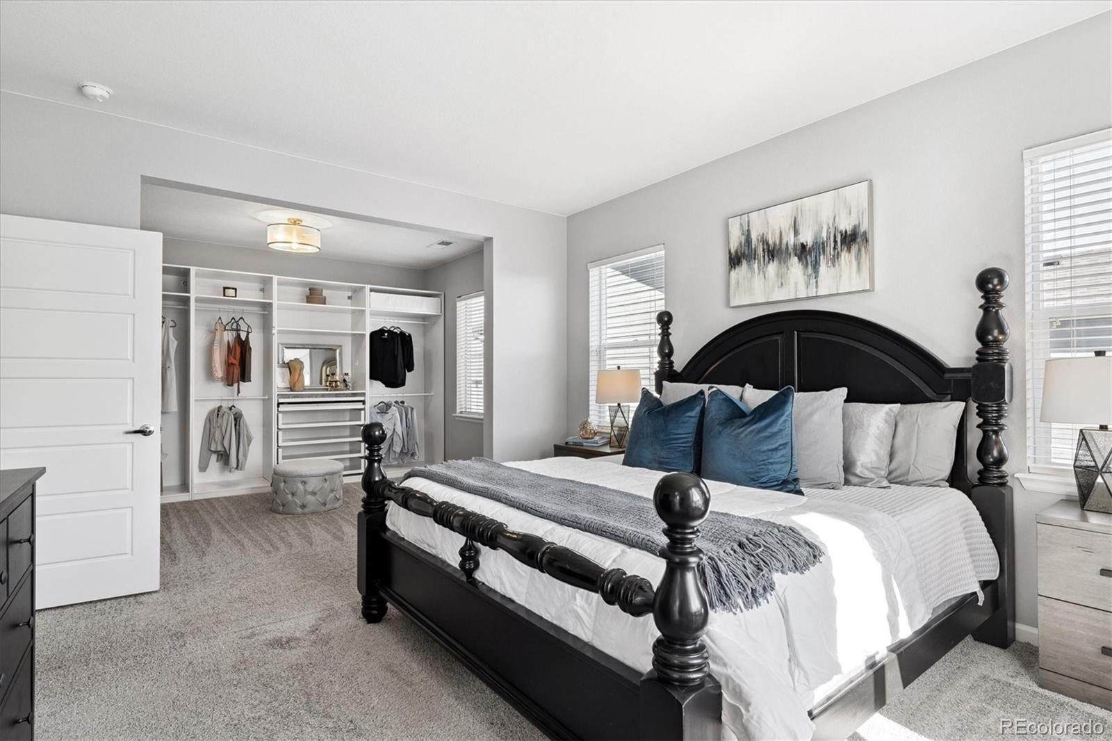 MLS Image #21 for 1173  basalt ridge loop,castle rock, Colorado