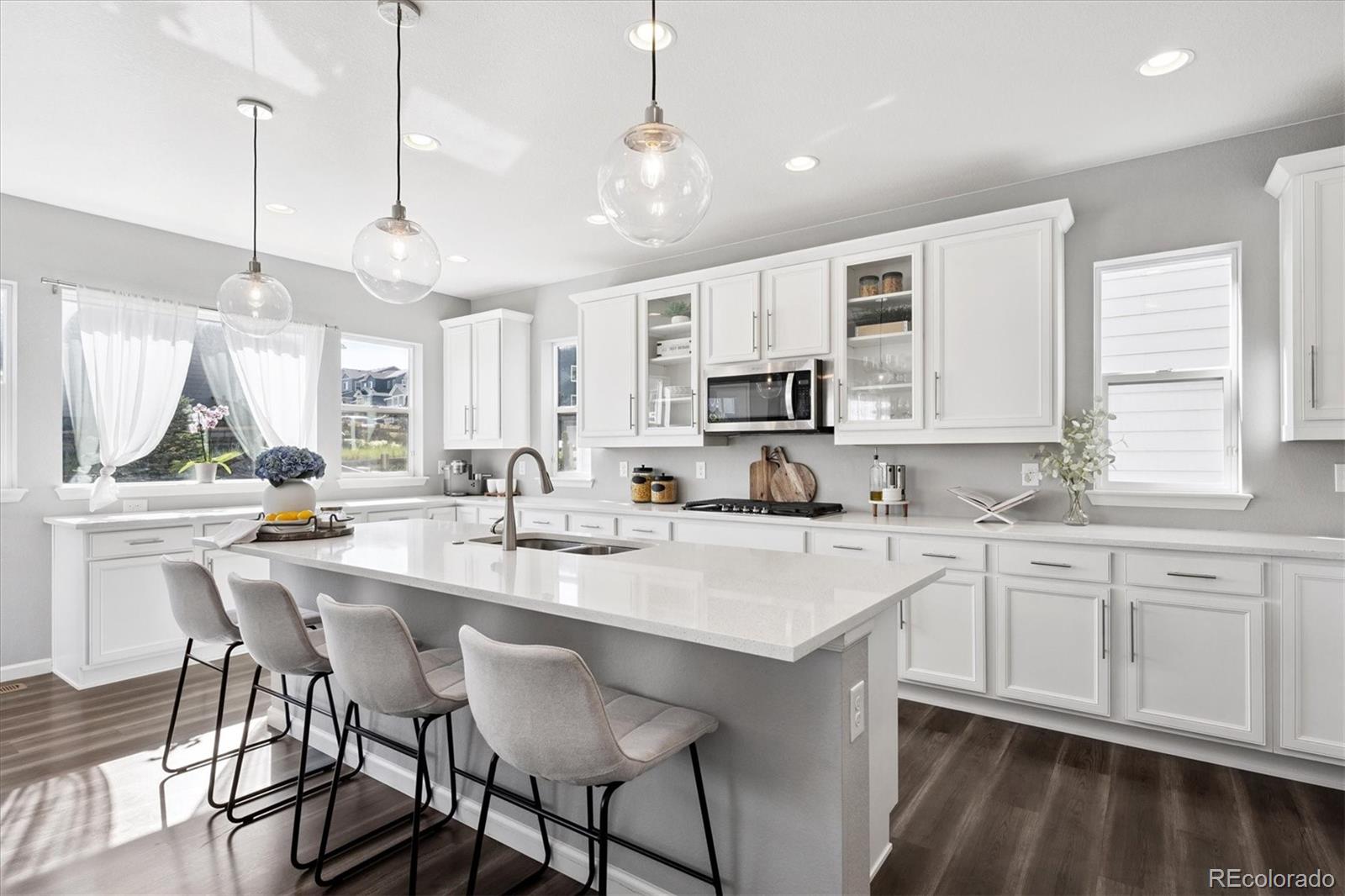 MLS Image #7 for 1173  basalt ridge loop,castle rock, Colorado
