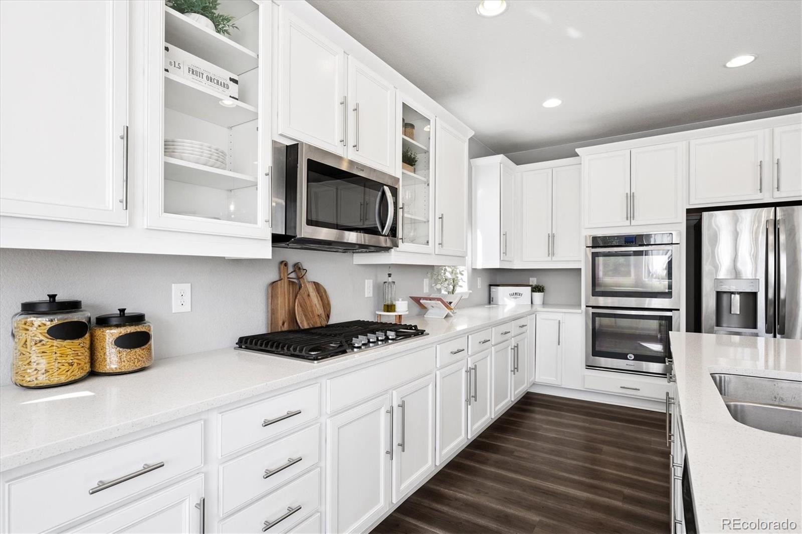 MLS Image #9 for 1173  basalt ridge loop,castle rock, Colorado