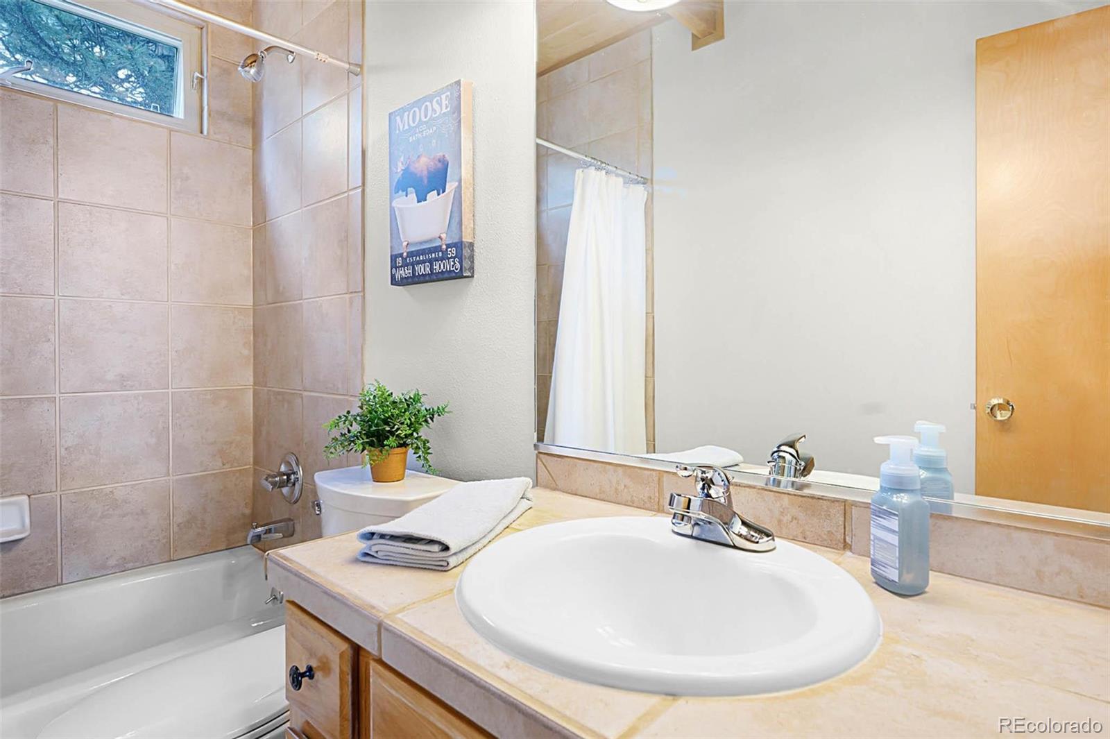 MLS Image #18 for 53  rocky vista ct ,livermore, Colorado
