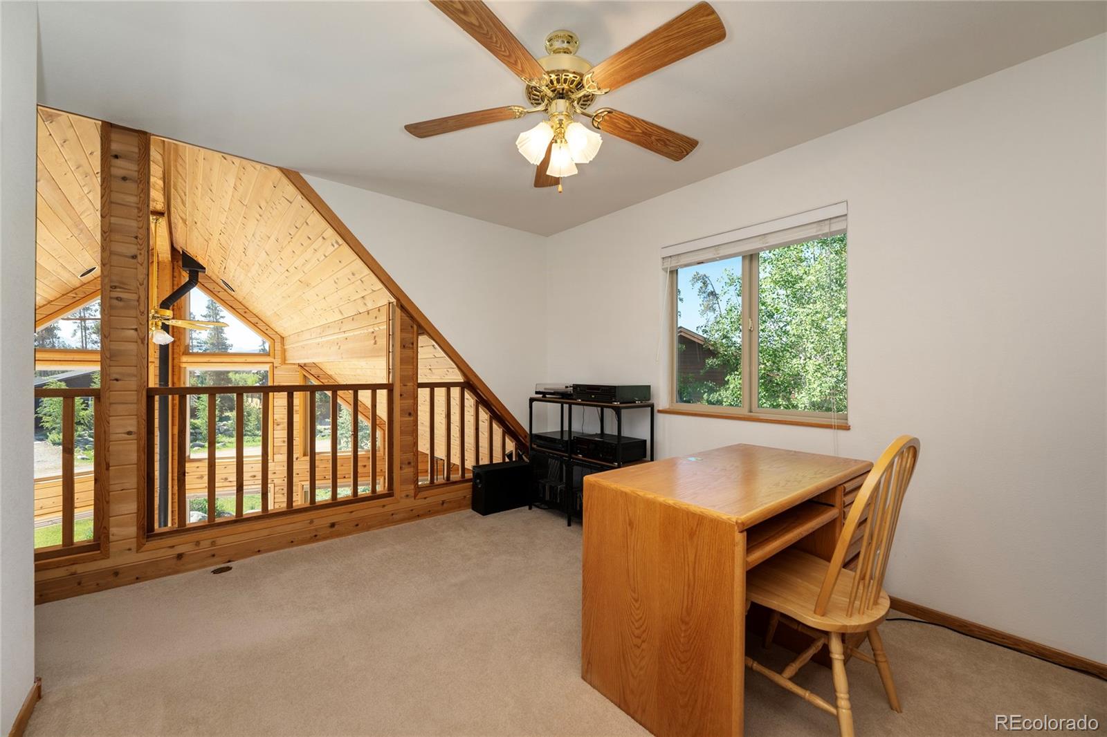 MLS Image #23 for 17  county road 4435 ,grand lake, Colorado