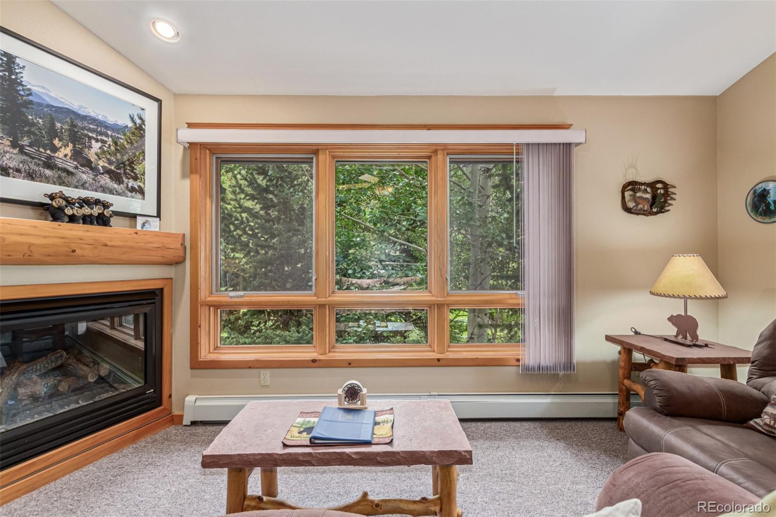 MLS Image #1 for 2100  fall river road,estes park, Colorado