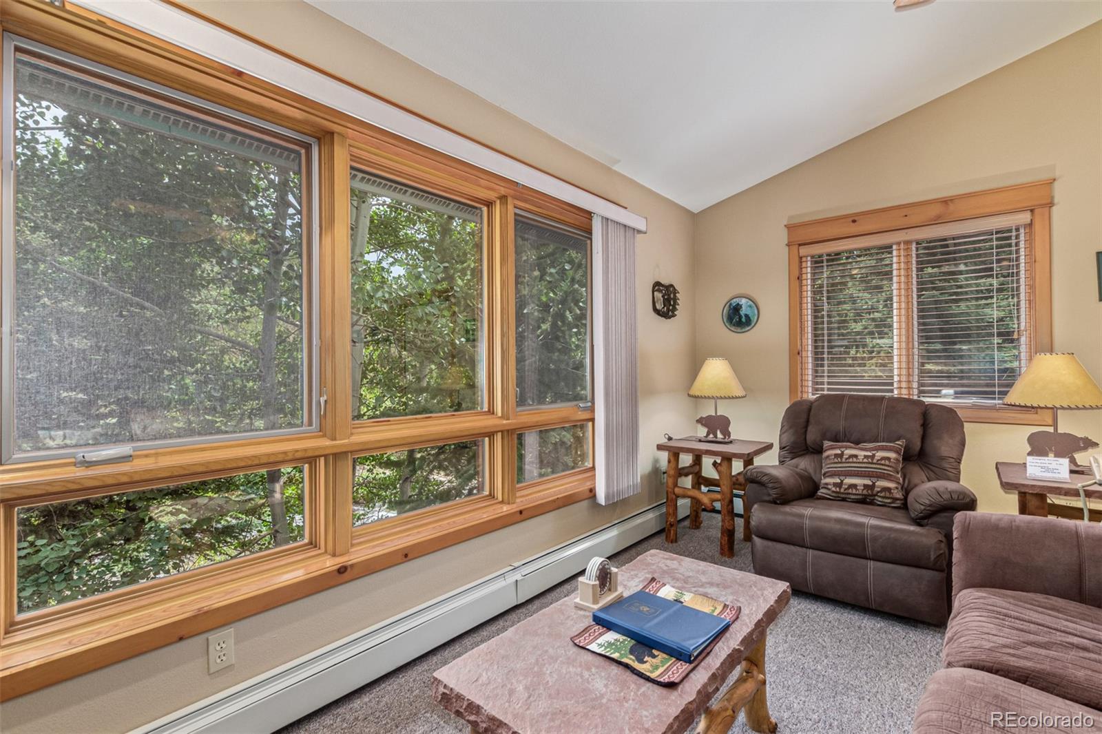 MLS Image #12 for 2100  fall river road,estes park, Colorado