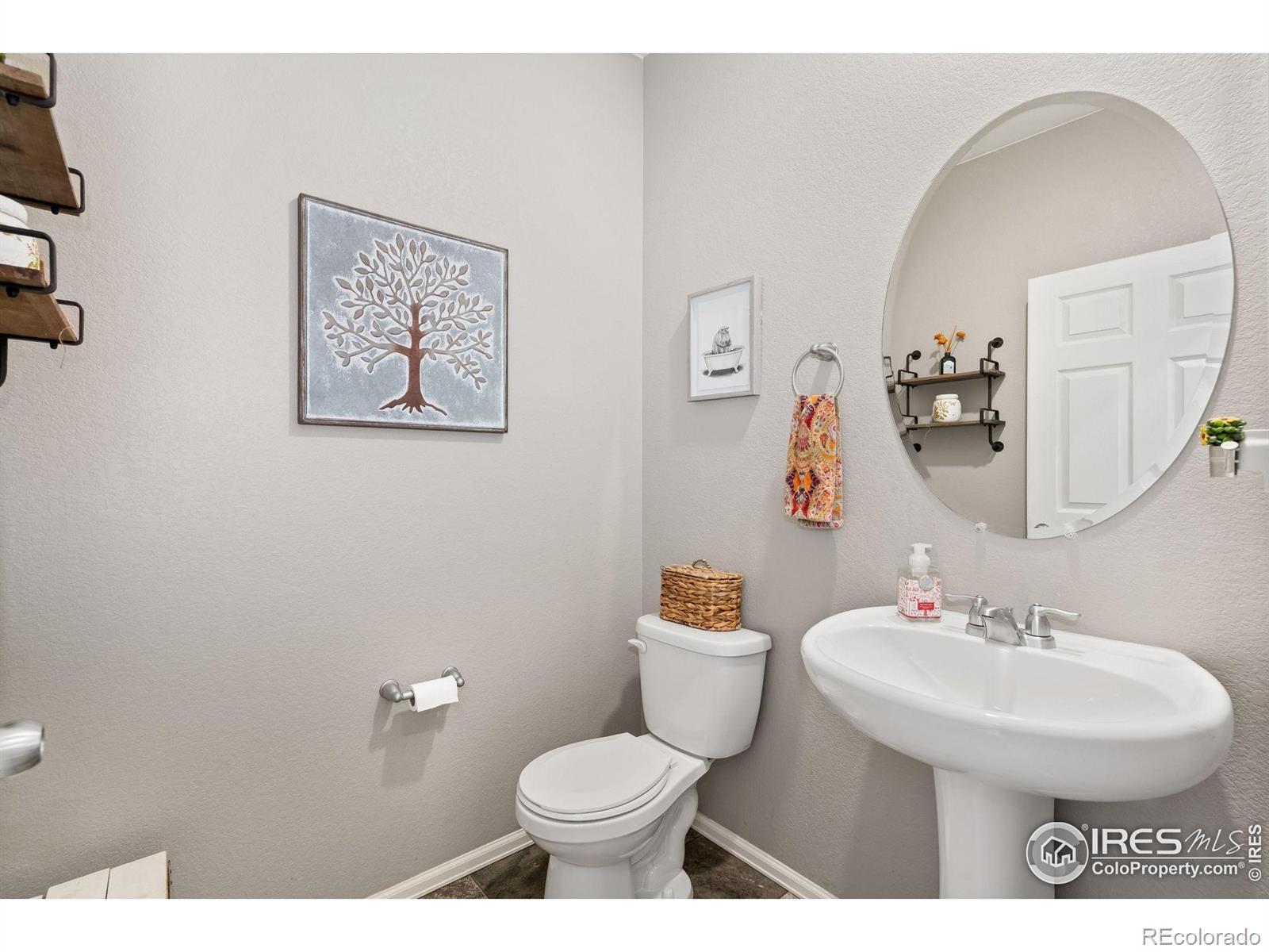 MLS Image #10 for 900  charlton drive,windsor, Colorado