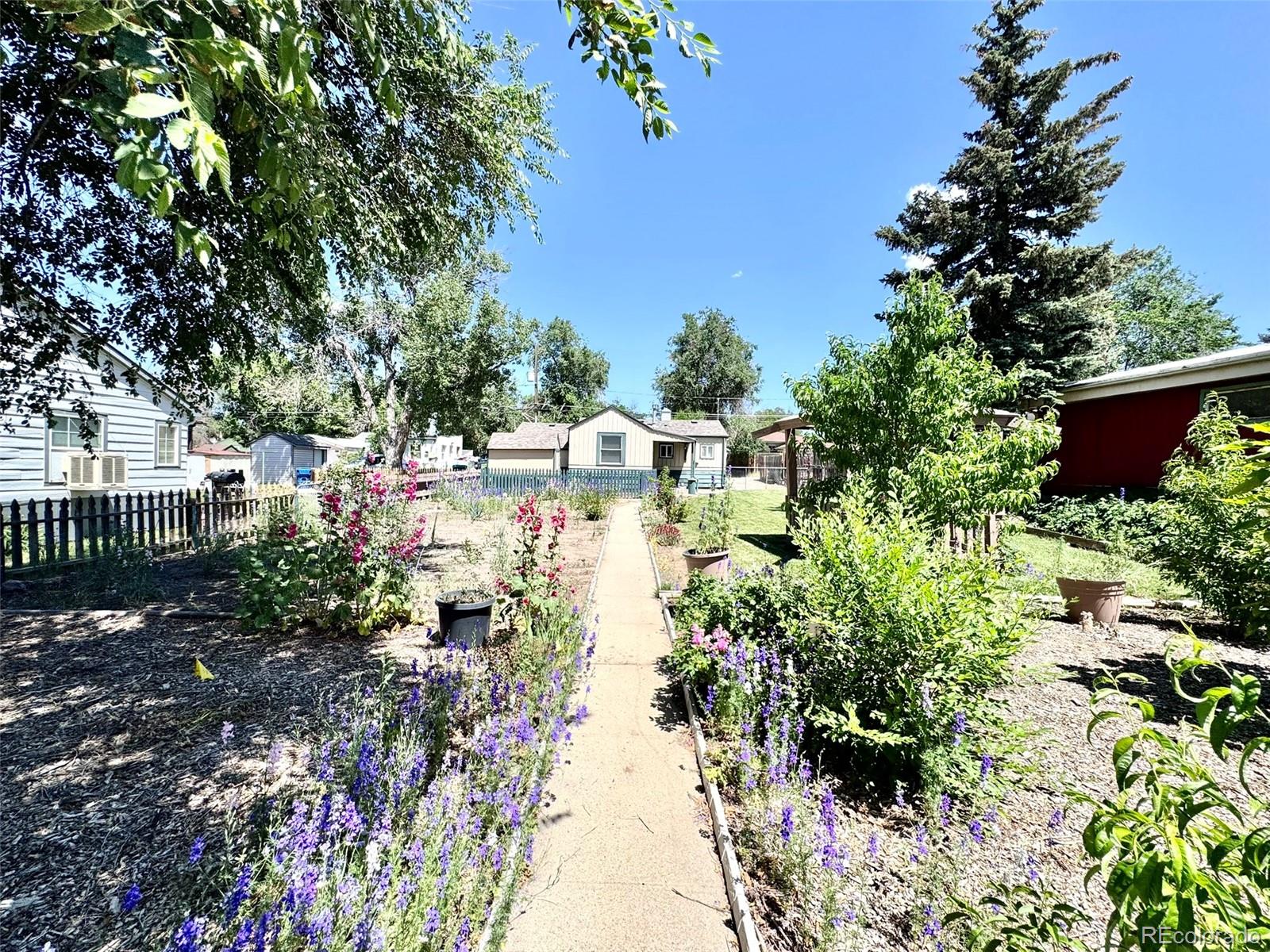 MLS Image #5 for 1270  havana street,aurora, Colorado