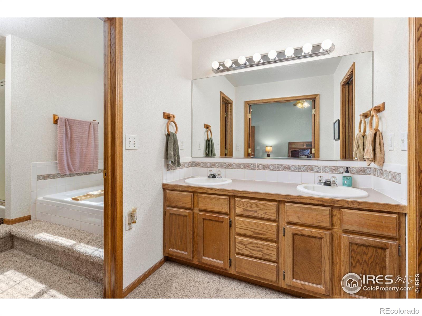 MLS Image #19 for 1111  valley place,windsor, Colorado