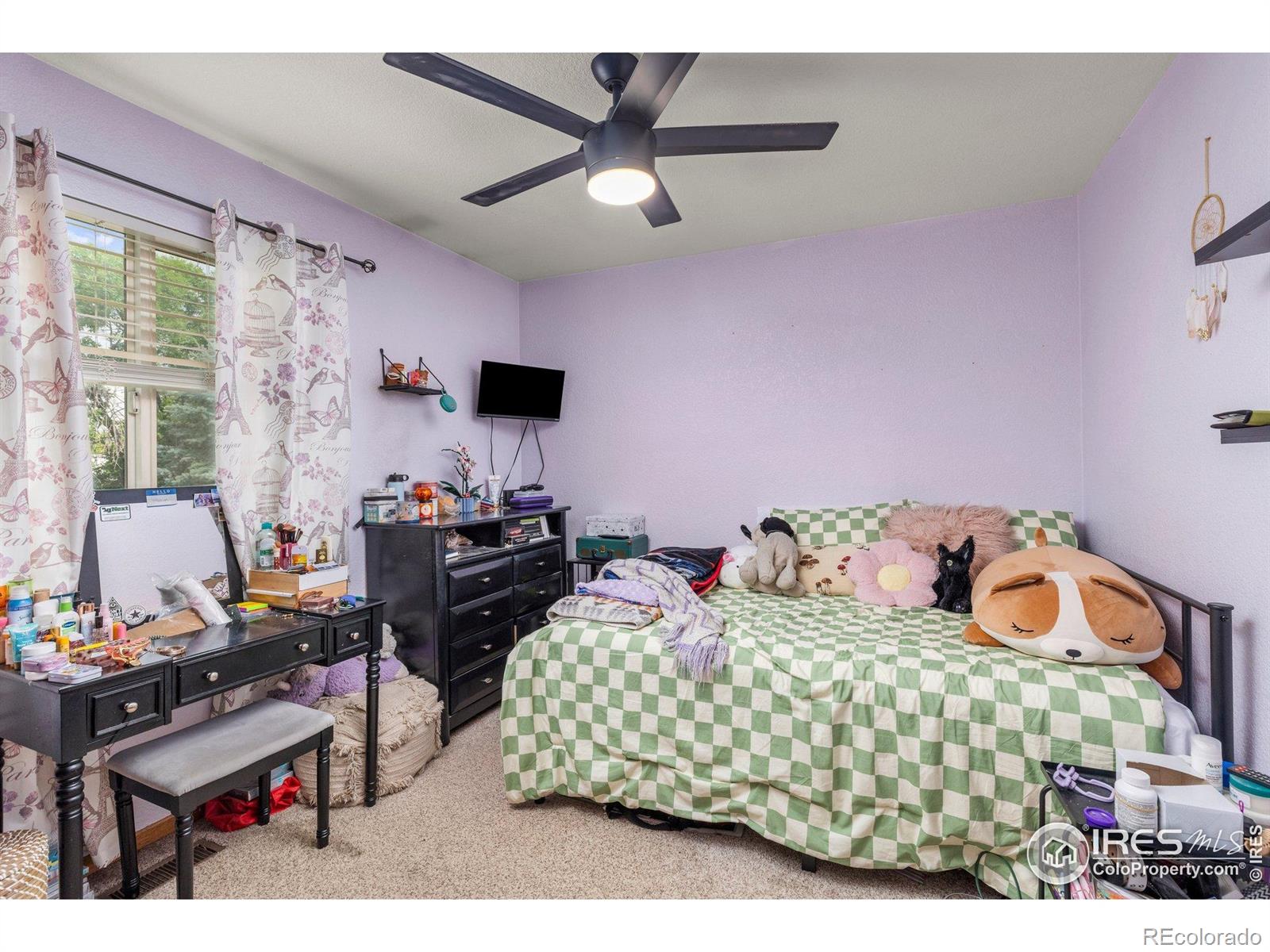 MLS Image #23 for 1111  valley place,windsor, Colorado